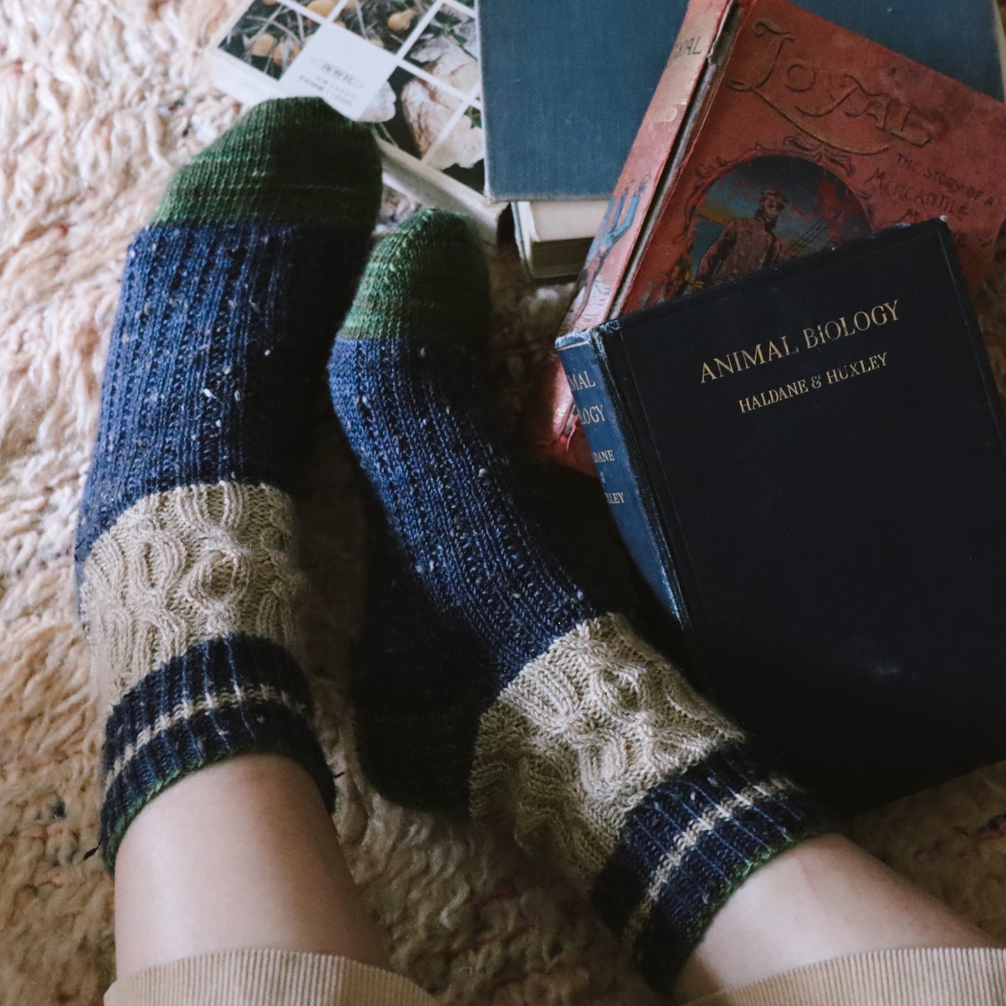 Book Seller's Socks _ 日本語パターン
