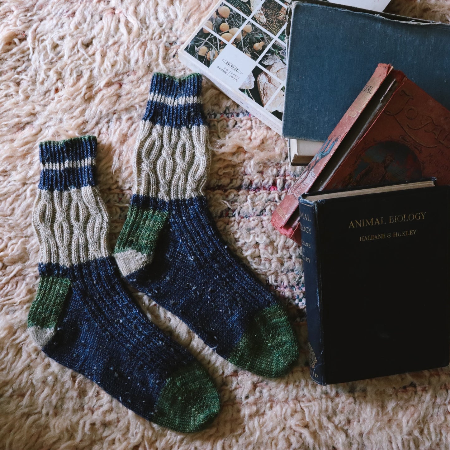 Book Seller's Socks _ 日本語パターン