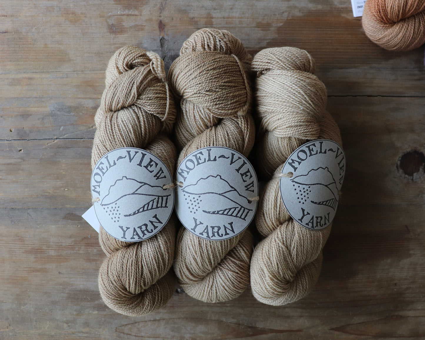 【Moel View Yarn】Corriedale