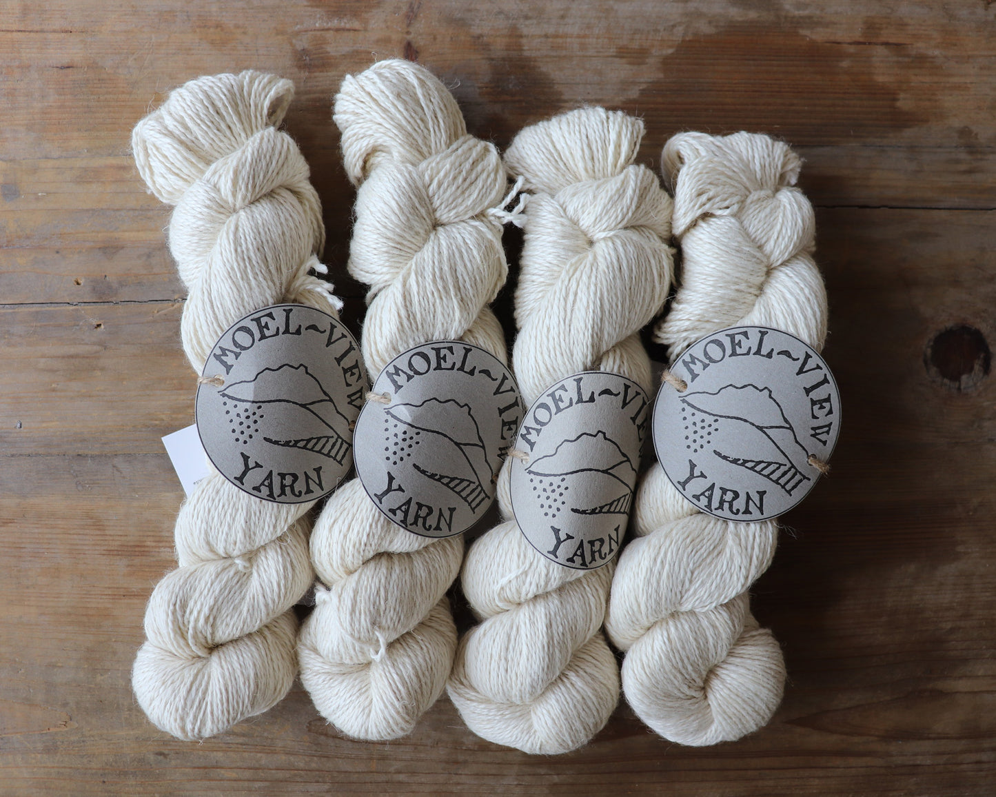 [Moel View Yarn] Miscanthus DK