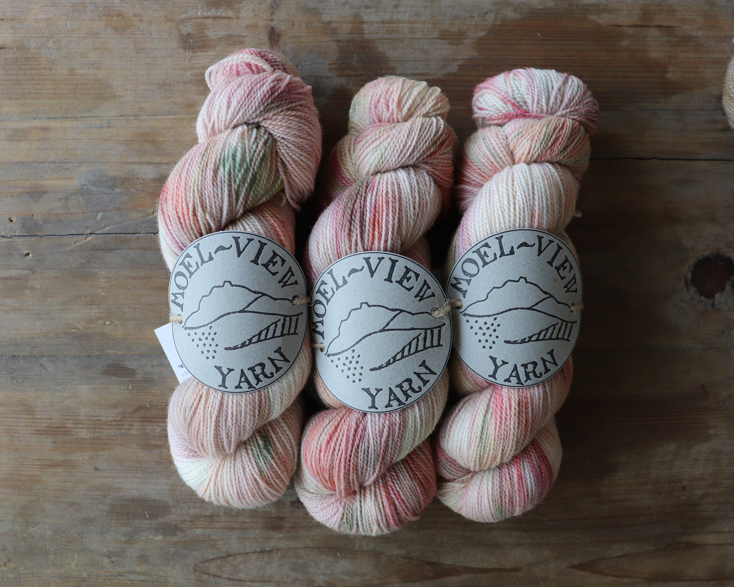 [Moel View Yarn] Corriedale