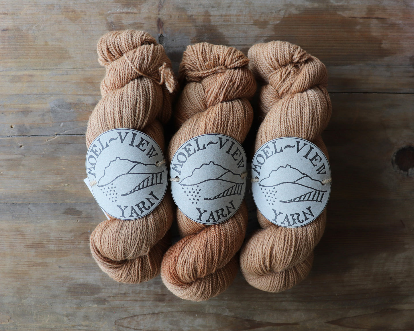 [Moel View Yarn] Corriedale