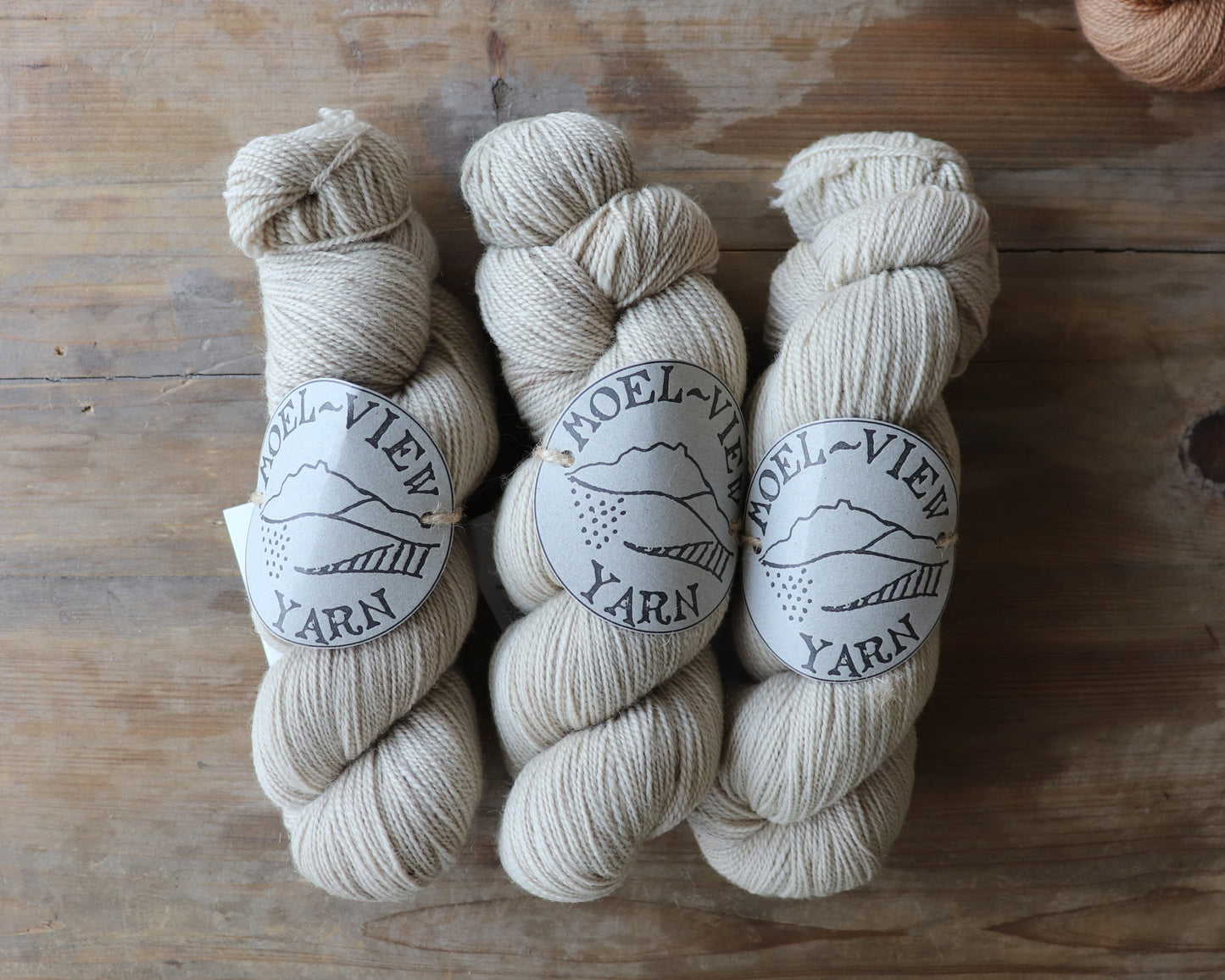 [Moel View Yarn] Corriedale